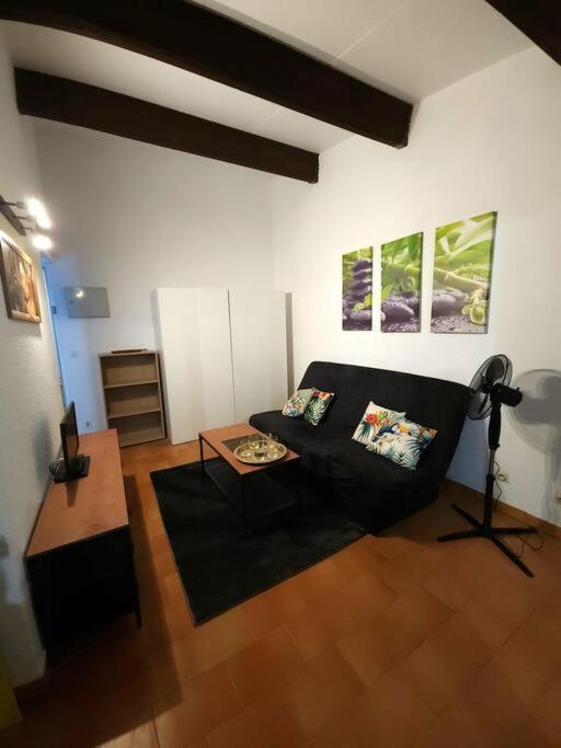 A 8 Mn A Pied Des Plages Avec Piscine Et Tennis Apartment Argelès-sur-Mer